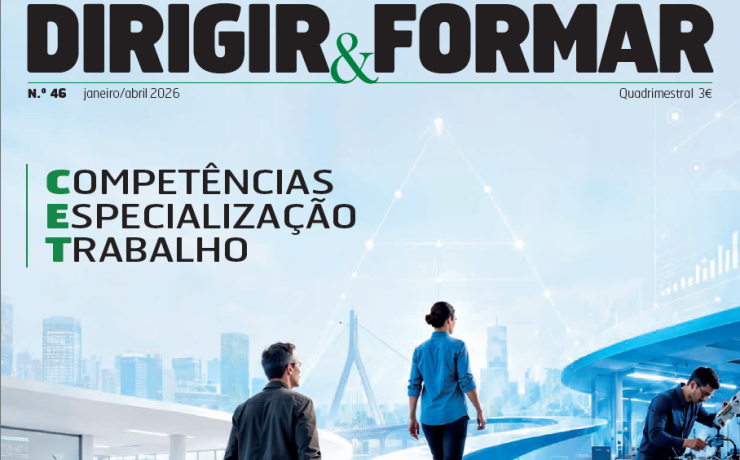 dirigir_formar_v2
